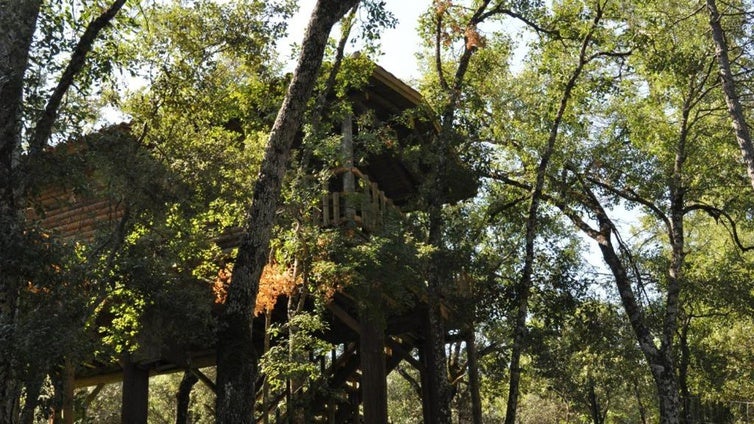 Estas casas nido en Cazorla parecen sacadas de un árbol encantado (y se pueden reservar)