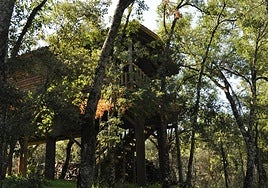 Estas casas nido en Cazorla parecen sacadas de un árbol encantado (y se pueden reservar)