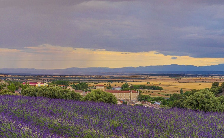 Imagem principal - Impressões dos campos de lavanda encontradas em Caleruega