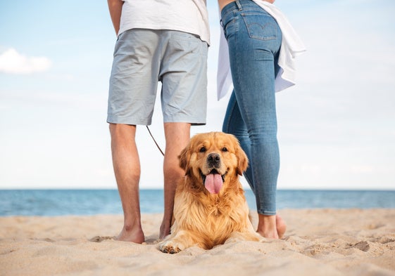 Cinco playas de la costa española para disfrutar junto a tu perro