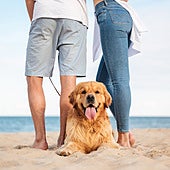 Cinco playas de la costa española para disfrutar junto a tu perro