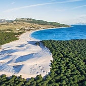 Arena blanca y aguas cristalinas: seis playas de Cádiz que no tienen nada que envidiar al Caribe