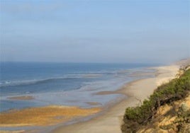 Playa Castilla en Huelva, una zona de la costa virgen