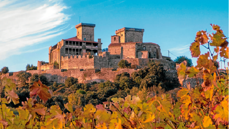 Bodega y viñedos de Monterrei