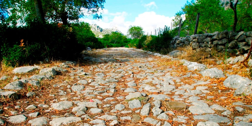 El pueblo blanco de Cádiz con una calzada romana, un 'diente del diablo' y un sinfín de rutas