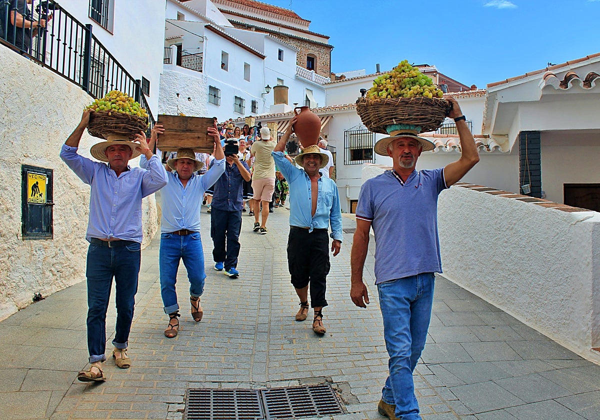 Los vecinos de El Borge transportan en cestas con uvas para el Día de la Pasa