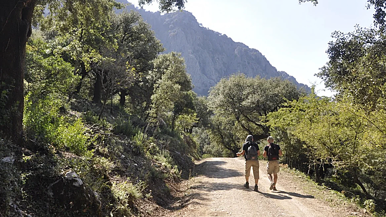 Las rutas de senderismo fáciles por los picos más altos de Andalucía: dónde están y cuánto miden