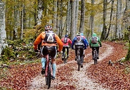 Cómo recorrer los paisajes de Navarra sobre ruedas