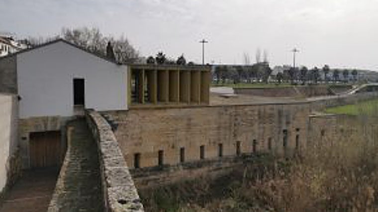 La única ciudad de España con más molinos está en Andalucía: «Pocas urbes europeas conservan tantos»