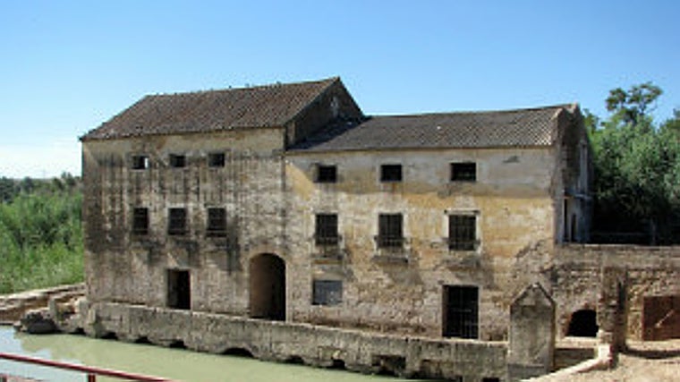 La única ciudad de España con más molinos está en Andalucía: «Pocas urbes europeas conservan tantos»