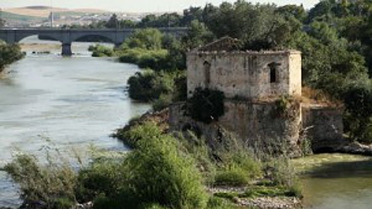 La única ciudad de España con más molinos está en Andalucía: «Pocas urbes europeas conservan tantos»