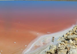 Así son las salinas más grandes de Europa, en el norte de Apulia