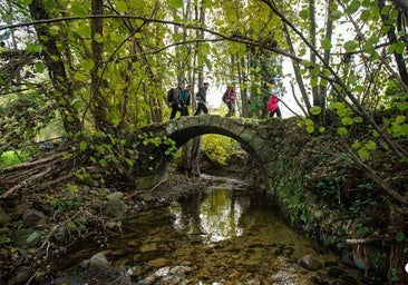 Otoño Mágico 2025 en el Valle del Ambroz, una de las celebraciones más bellas de España