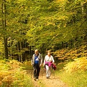 Dónde disfrutar de las mejores arboledas de España este otoño