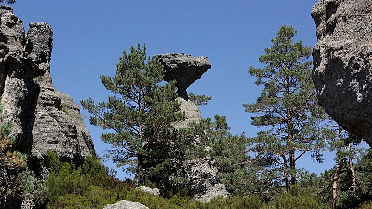 Paisaje de Quintanar de la Sierra, parte de la ruta que lleva al Poceairón