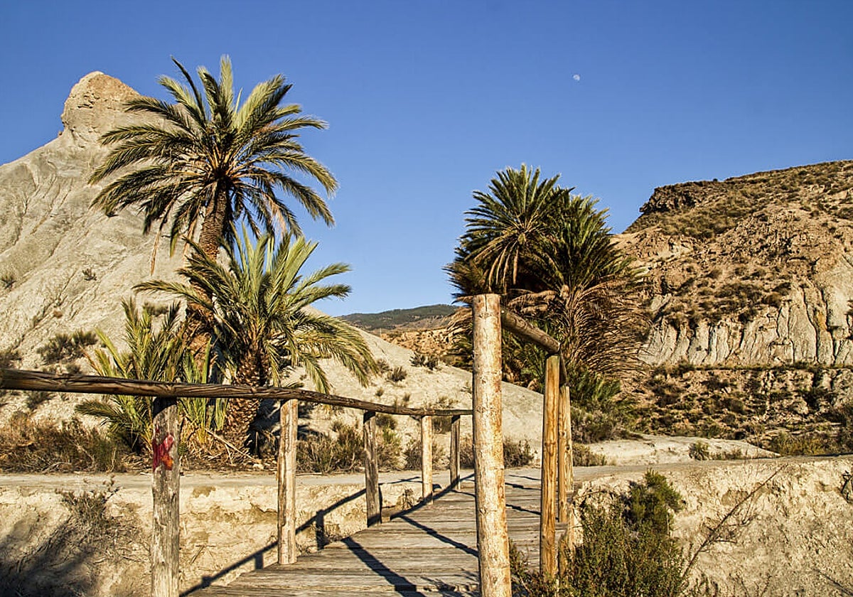 Oasis en el Desierto de Tabernas (Almería)