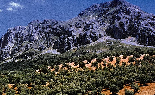 Parque Natural Sierras Subbéticas (Córdoba)