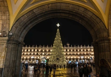 Un gran árbol de Navidad preside durante las fiestas la Plaza Mayor de Salamanca