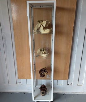 Secondary image 2 - Corner of the park