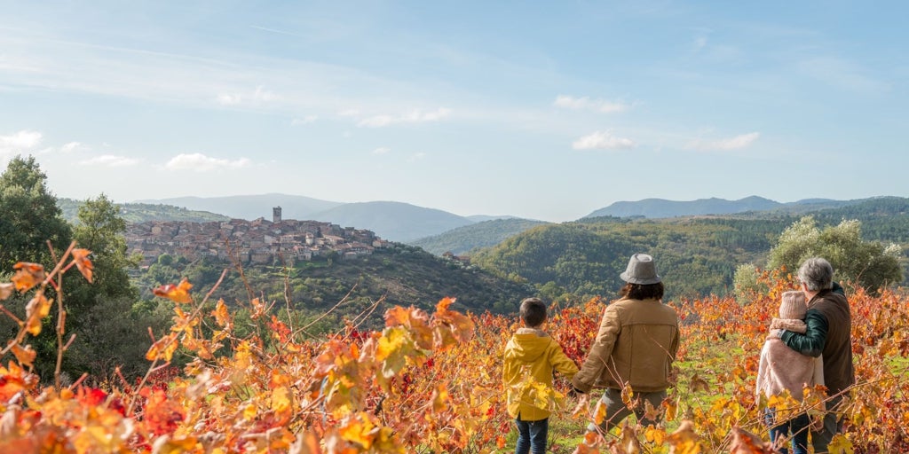 Nueve rutas de vino imprescindibles para descubrir los paisajes más sorprendentes de Castilla y León