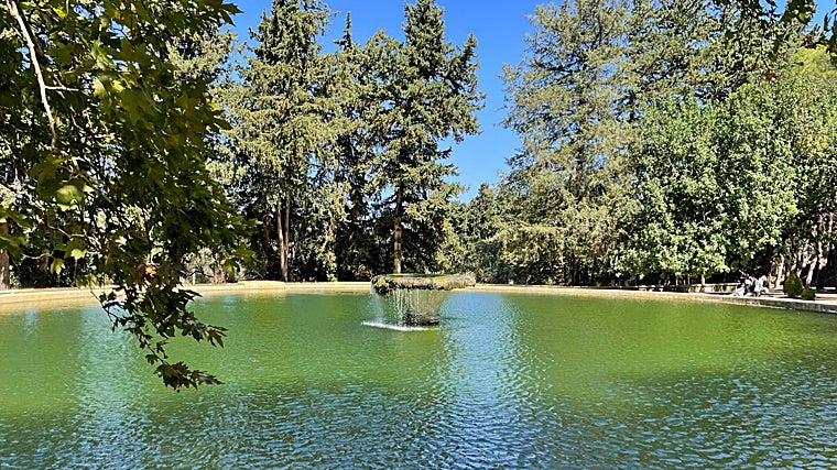 Eliosa mini synthetic length