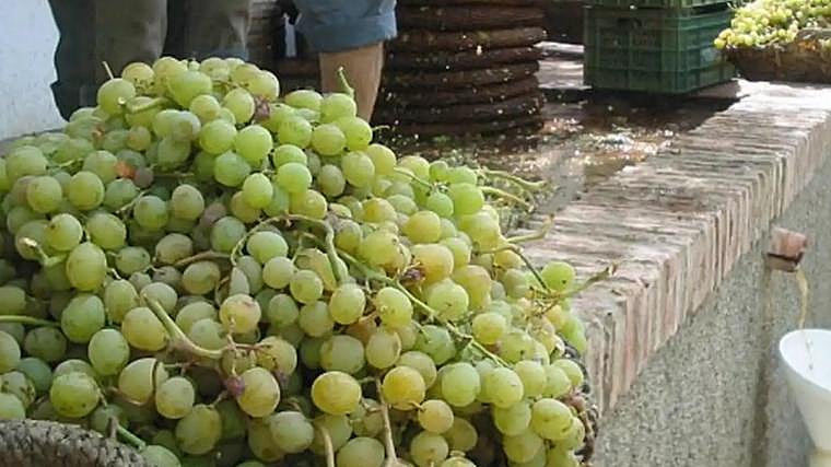 Wine evening in Cómpeta