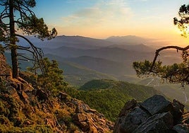 Los bosques más bonitos de Andalucía: parecen paisajes de fantasía sacados de un cuento