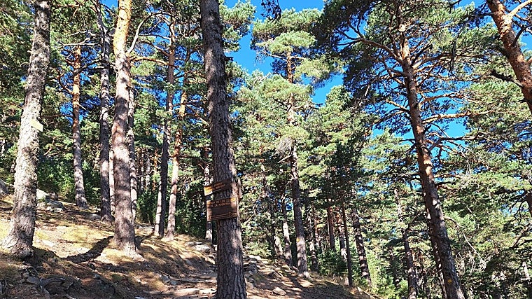 Caminho de Schmid na rota Siete Picos de Guadarrama