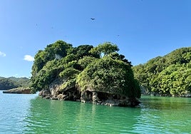 Los Haitises: tierra de mogotes, manglares, aves exóticas e historia taína
