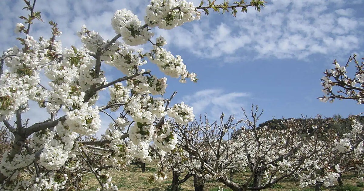 El pueblo que se vuelve rosa: el asombroso espectáculo de la naturaleza que solo puedes vivir en este rincón de Málaga