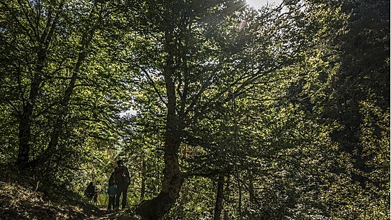 La Rioja, una tierra para degustar con calma