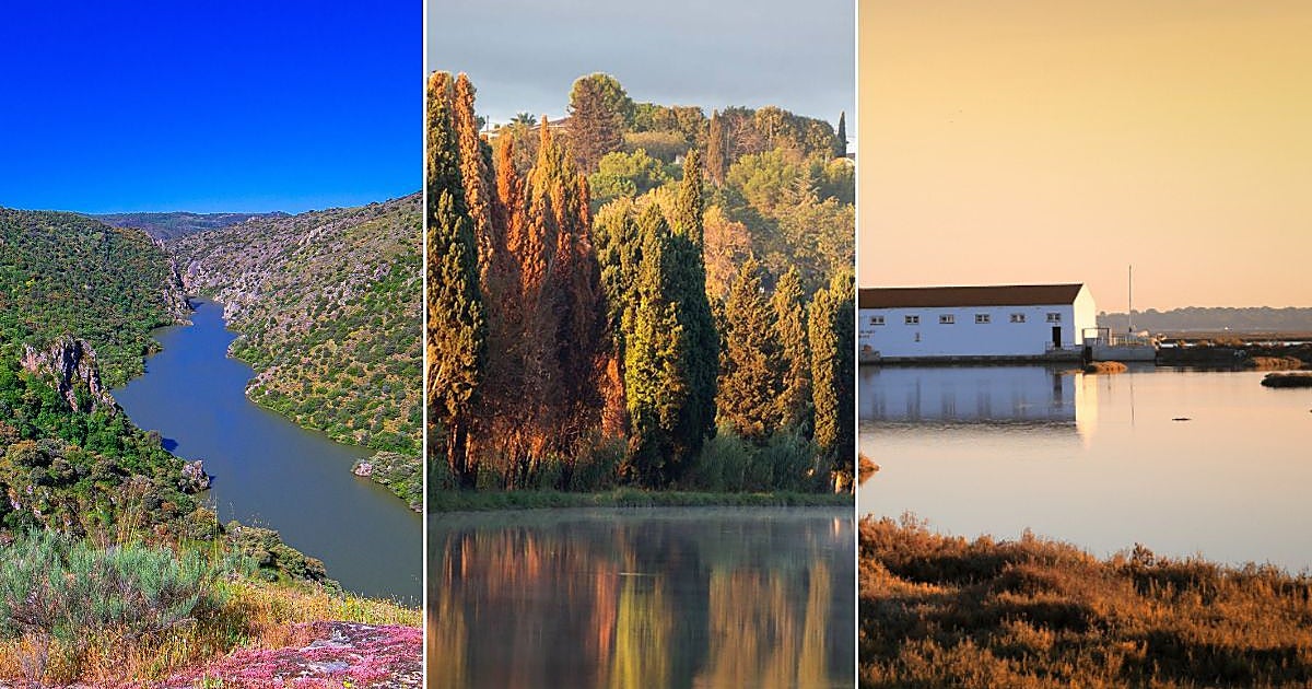Tres paseos en barco por ríos y canales para disfrutar del buen tiempo