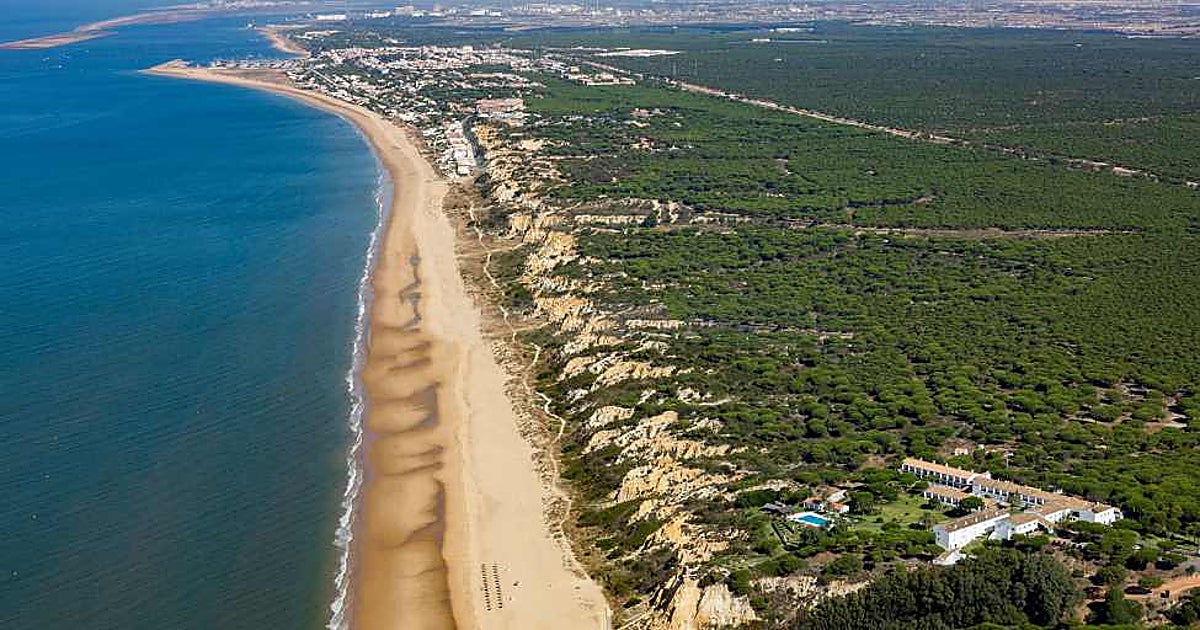 El pueblo de Huelva que tiene un 'mar de pinos': 12.000 hectáreas de bosque que desembocan en la playa más larga de España
