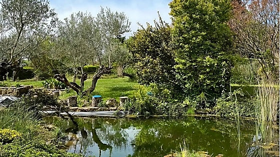 El Jardín Botánico más especial de España está en un pueblo de La Rioja
