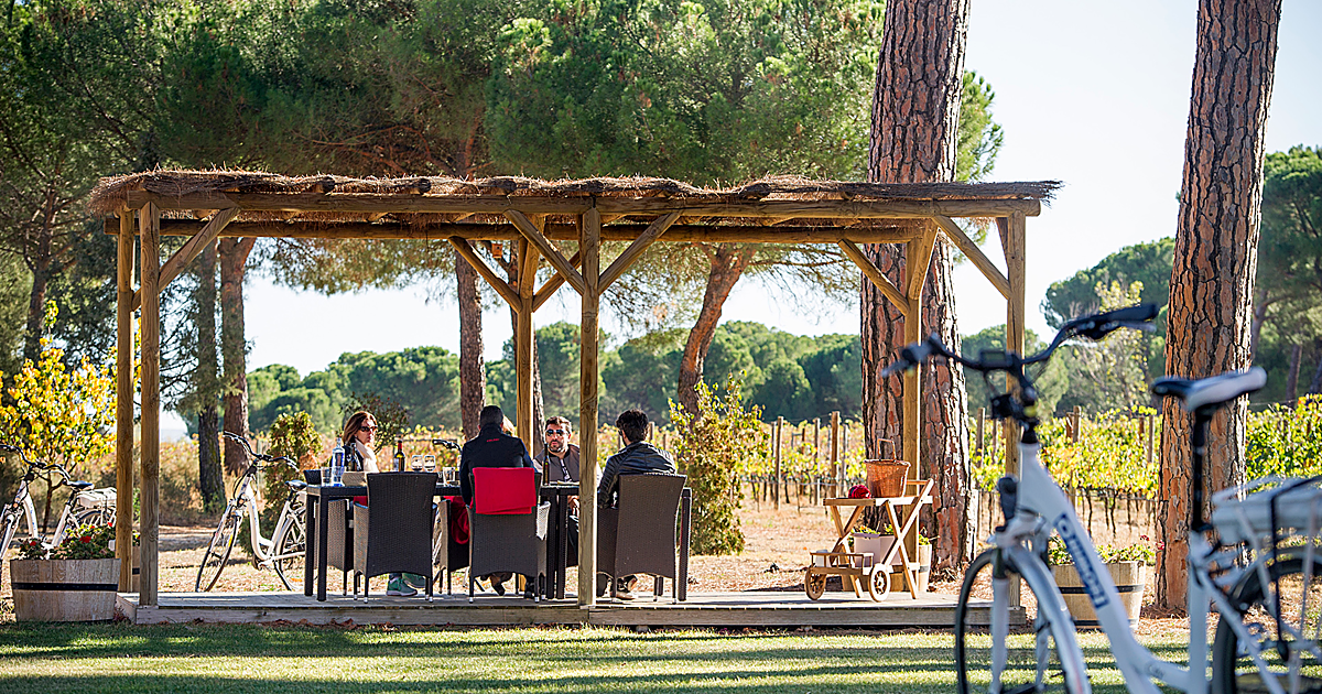 Viñedos, bodegas y planes originales para disfrutar de una escapada