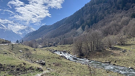 Pastor por un día en el valle de Ossau, en los Pirineos franceses