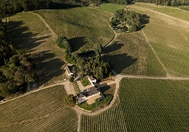 Dormir entre viñedos en una finca histórica en la desconocida región portuguesa del Dão