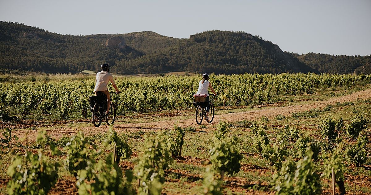 El vino sale al encuentro del visitante