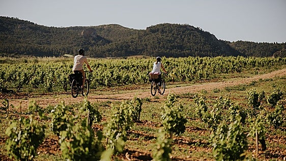 El vino sale al encuentro del visitante