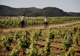 El vino sale al encuentro del visitante