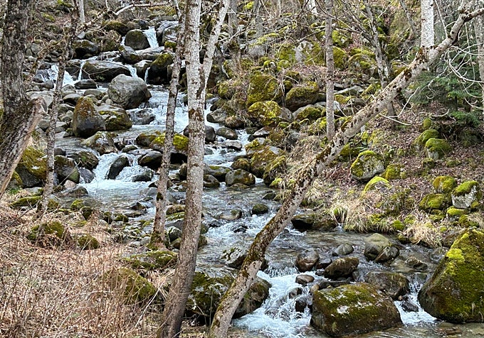 El río Garona que atraviesa el Valle de Arán.