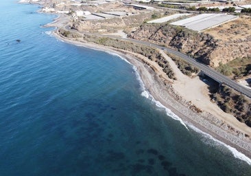 Ni Cádiz ni Málaga: la playa para perros más salvaje de España es un paraíso virgen de aguas turquesas