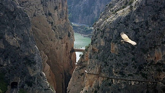 El sendero de montaña en Andalucía que atraviesa ríos, puentes colgantes y bosques que parecen del norte de Europa