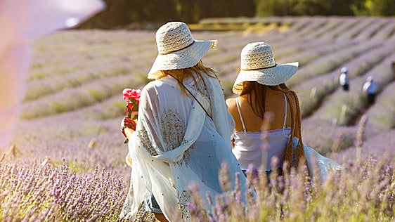 Brihuega se tiñe de violeta: cómo disfrutar de su lavanda en un día o un fin de semana
