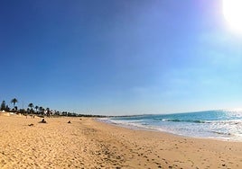Uno de los mejores campings de Europa está en Andalucía: bungalows premium y acceso a una playa virgen del Atlántico