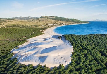 La espectacular duna de más de 30 euros que se encuentra en la gaditana playa de Bolonia