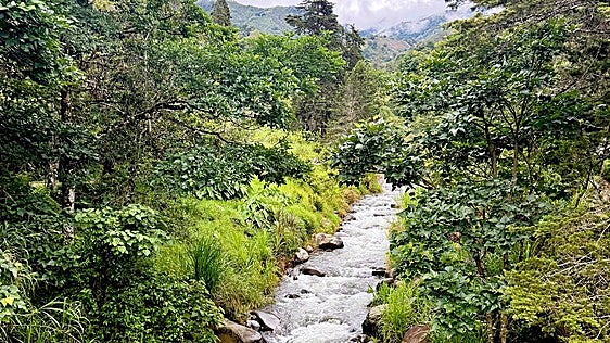 Un paseo entre cascadas, bosques y pequeñas comunidades en uno de los valles más especiales de Costa Rica