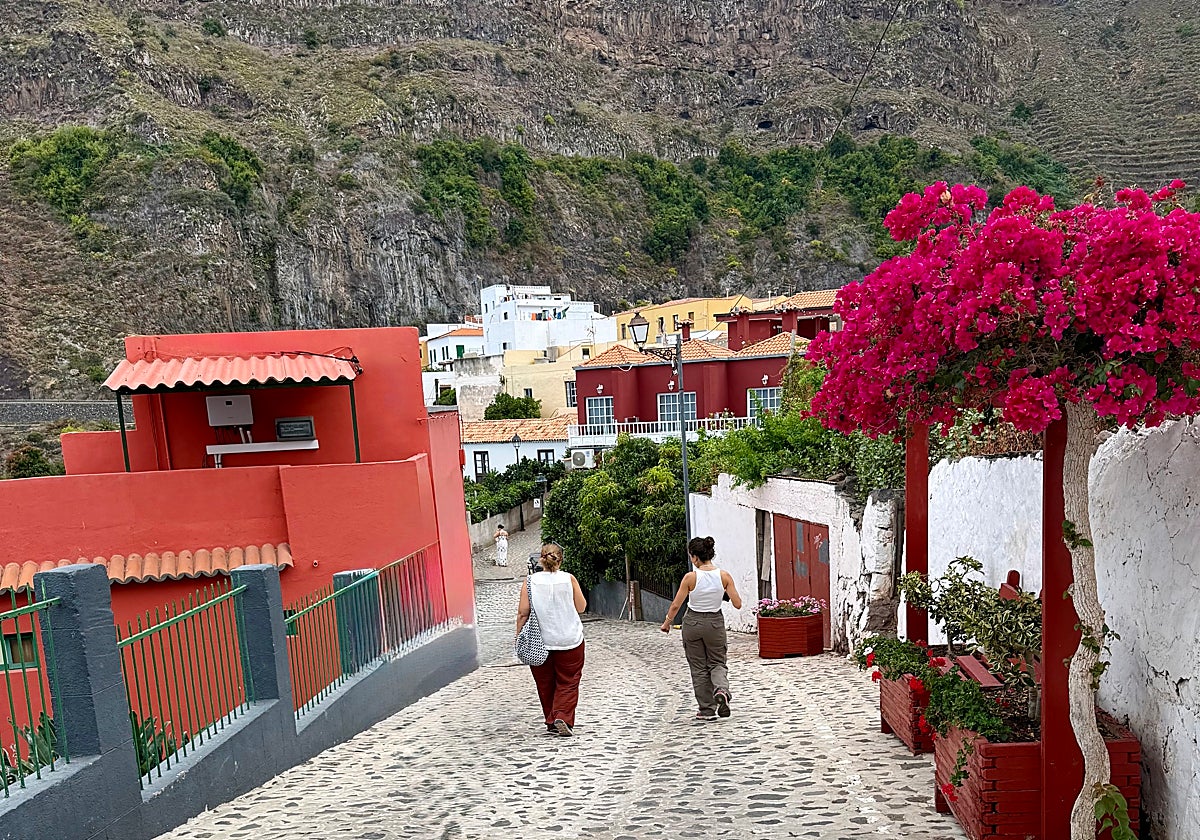 Un paseo por el 'bombón de La Gomera' y su mágico pulmón verde 缩略图