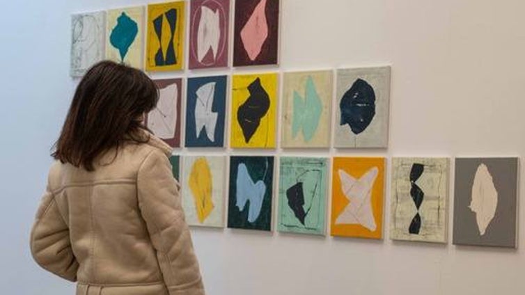 La 'Geometría de la emoción' de Tomás Cordero llega a la Sala de la Provincia