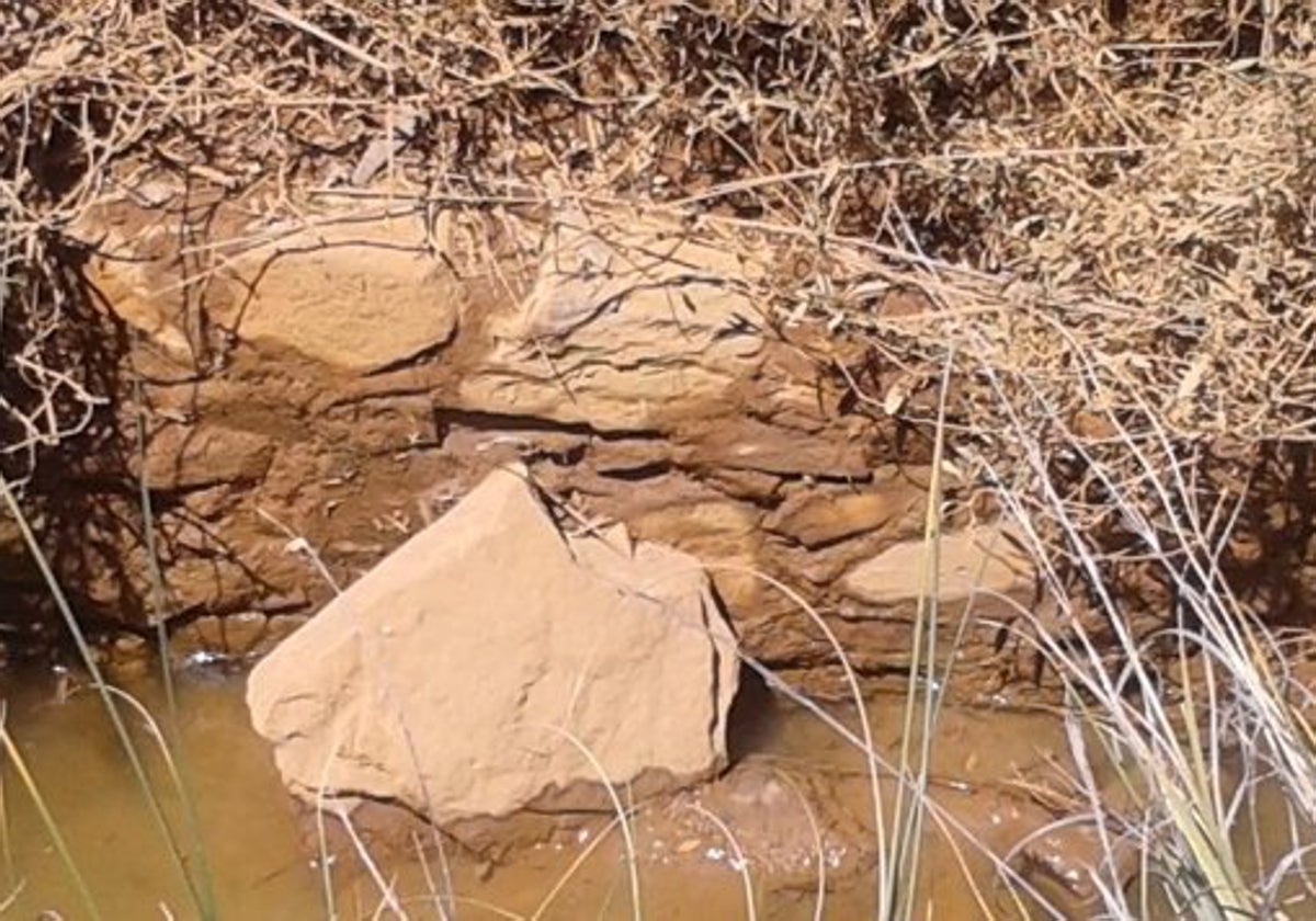 Restos de un molino mareal en la finca de la cuñada de Colón